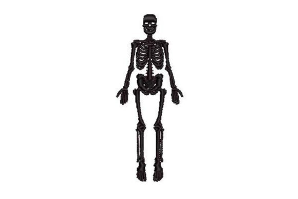 Vintage Anatomical Skeleton: A Designer's Holiday Review